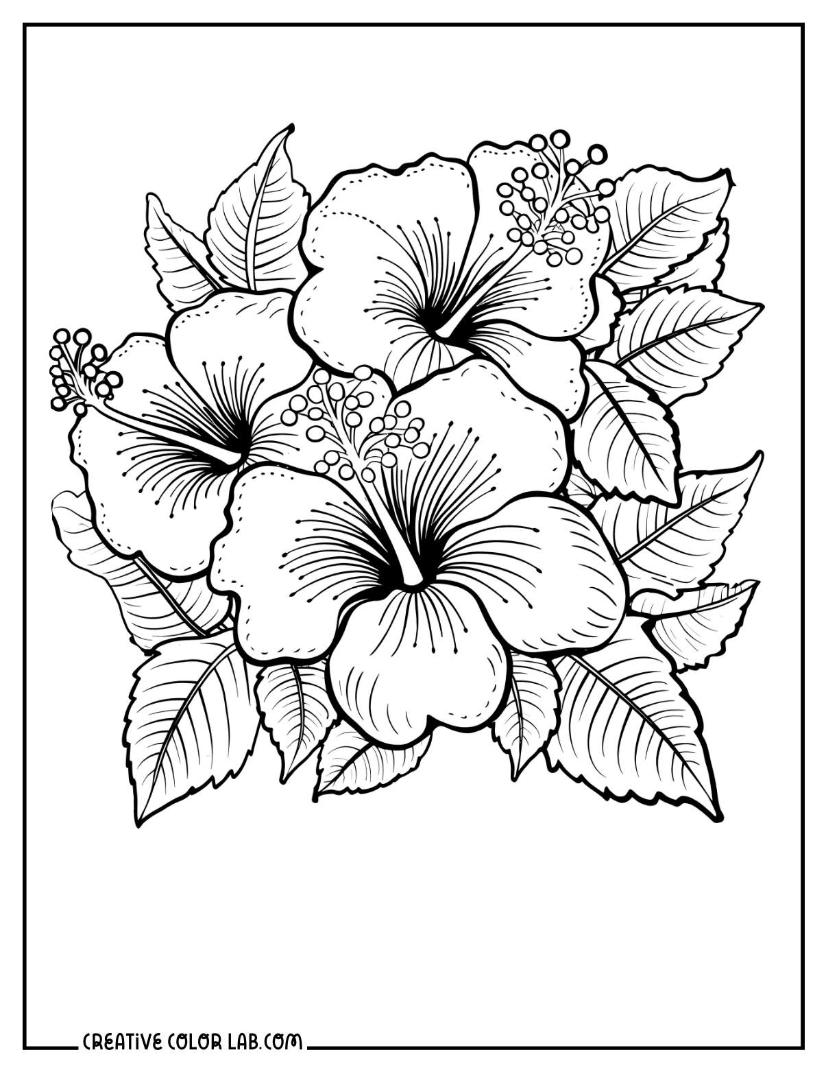 coloring pages printable flowers