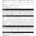 27 Basic Employment Application Templates Free 