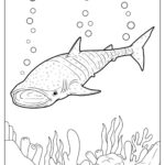 34 Shark Coloring Pages Free PDF Printables 