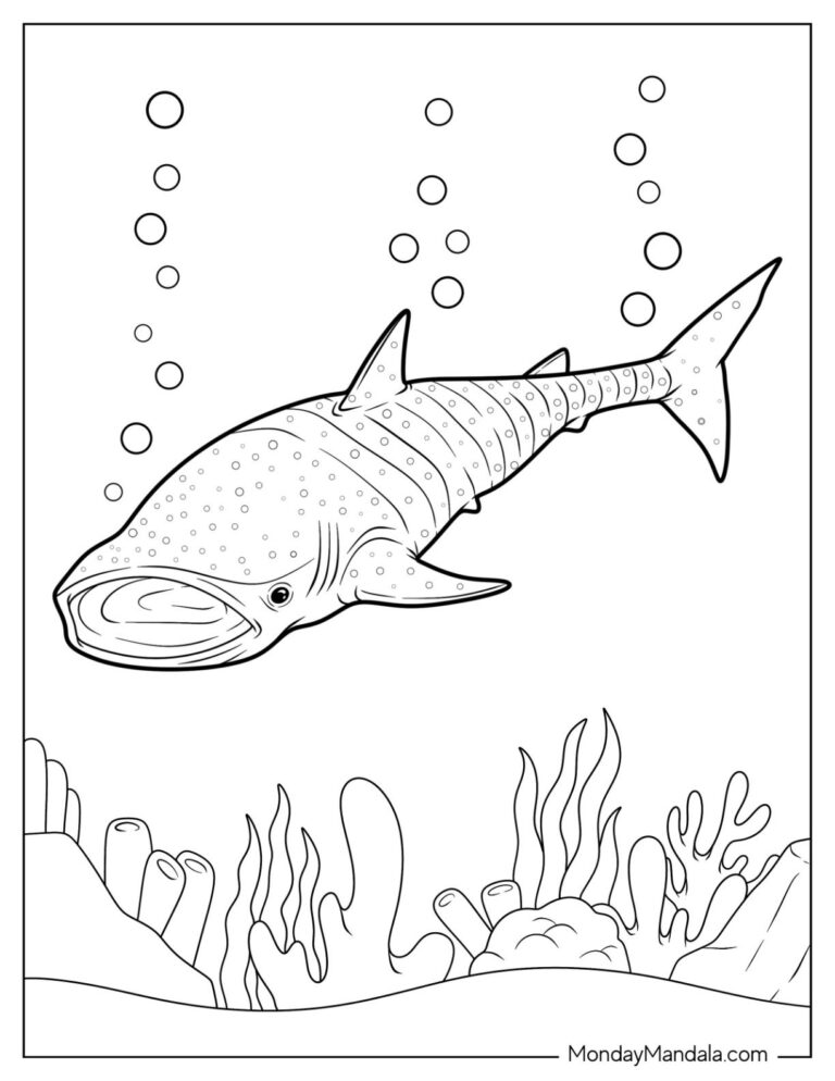 34 Shark Coloring Pages Free PDF Printables