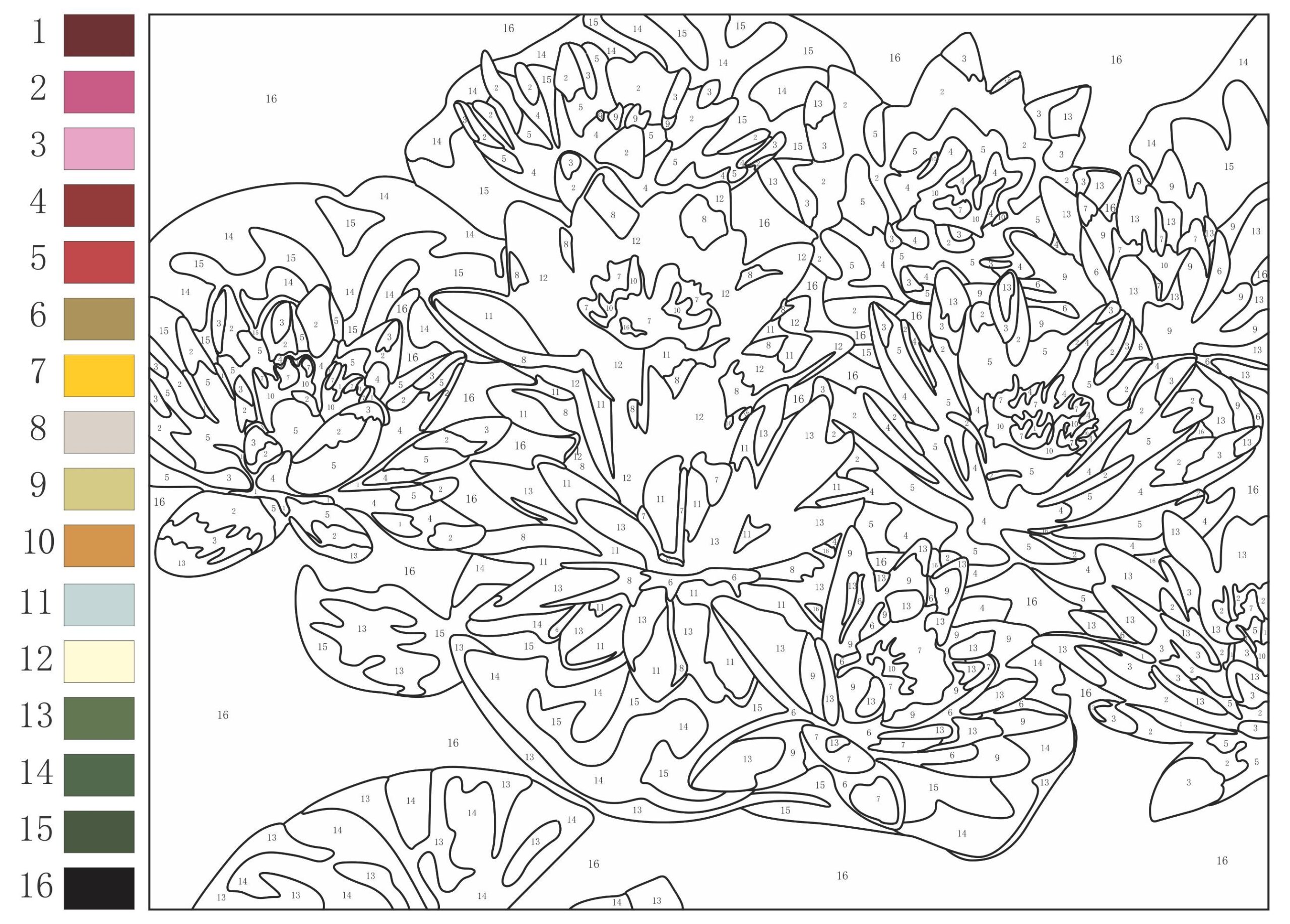 860 Color By Numbers Ideas Color By Numbers Color By Number Printable Coloring Pages