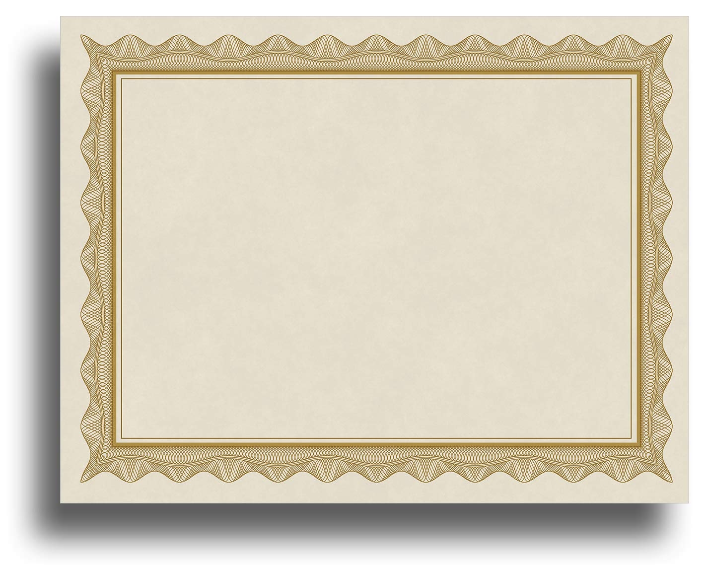 Amazon Blank Parchment Certificate Paper For Awards Works With Inkjet Laser Printers Measures 8 1 2 X 11 Gold Border 100 Sheet Pack Office Products