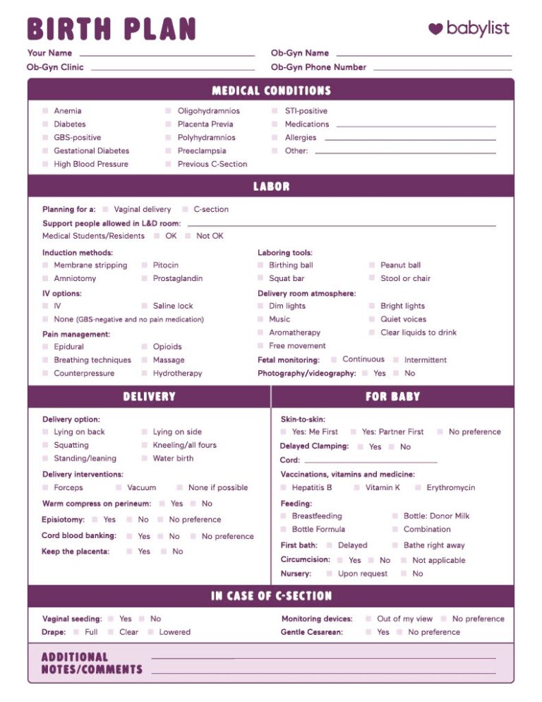 Birth Plan Template How To Write A Perfect Labor Delivery Plan
