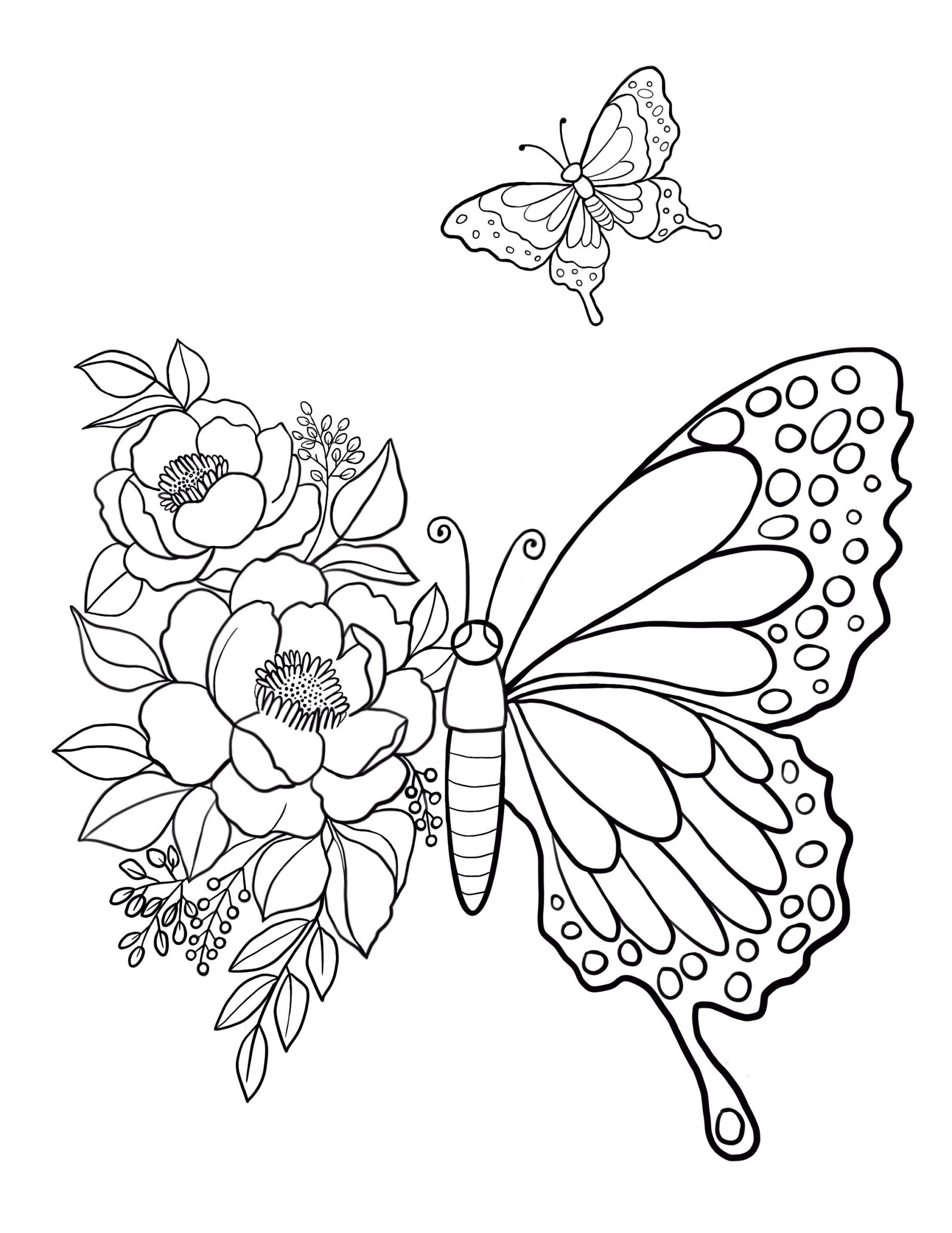 butterfly color pages printable