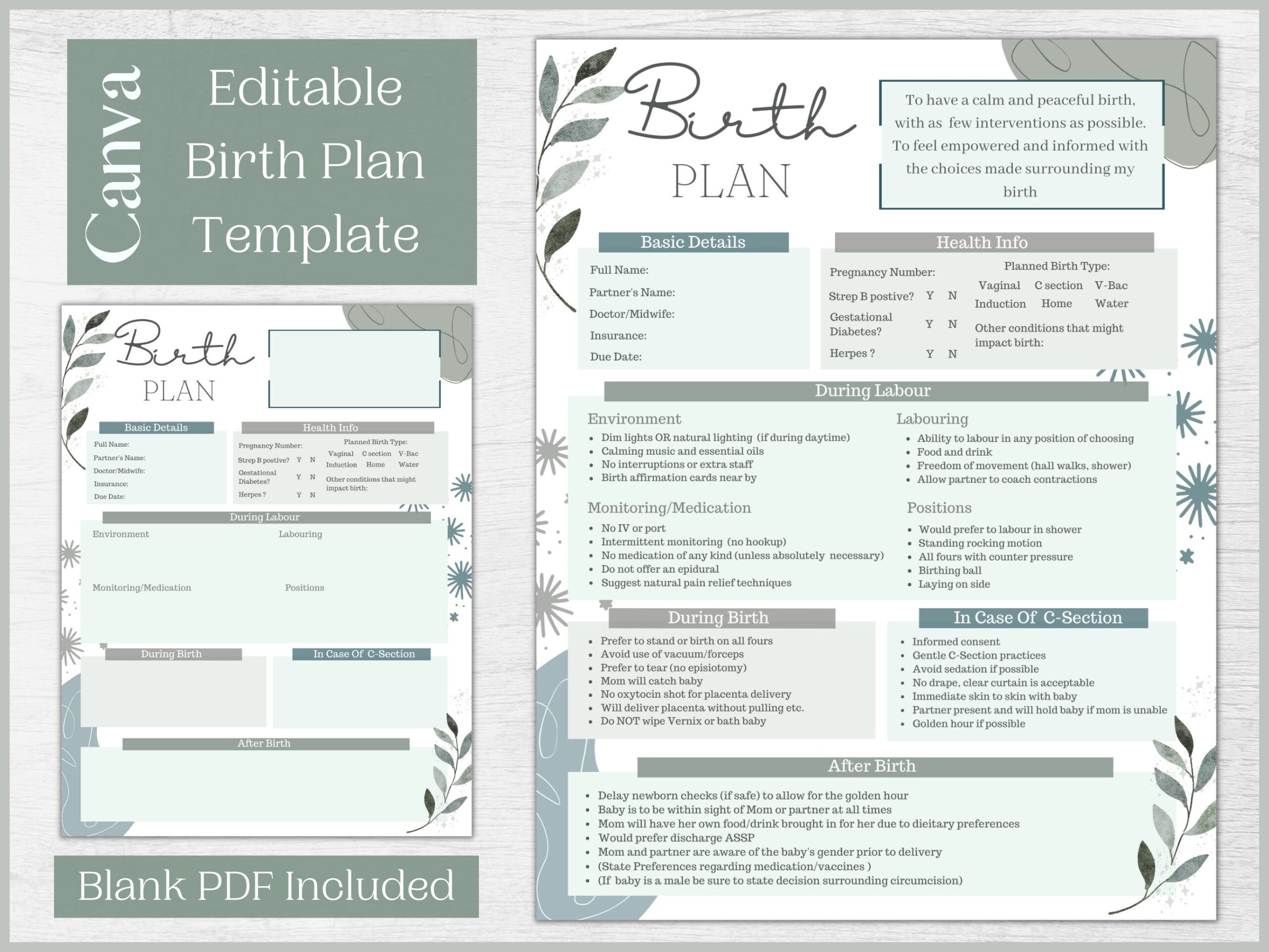 printable birth plan template