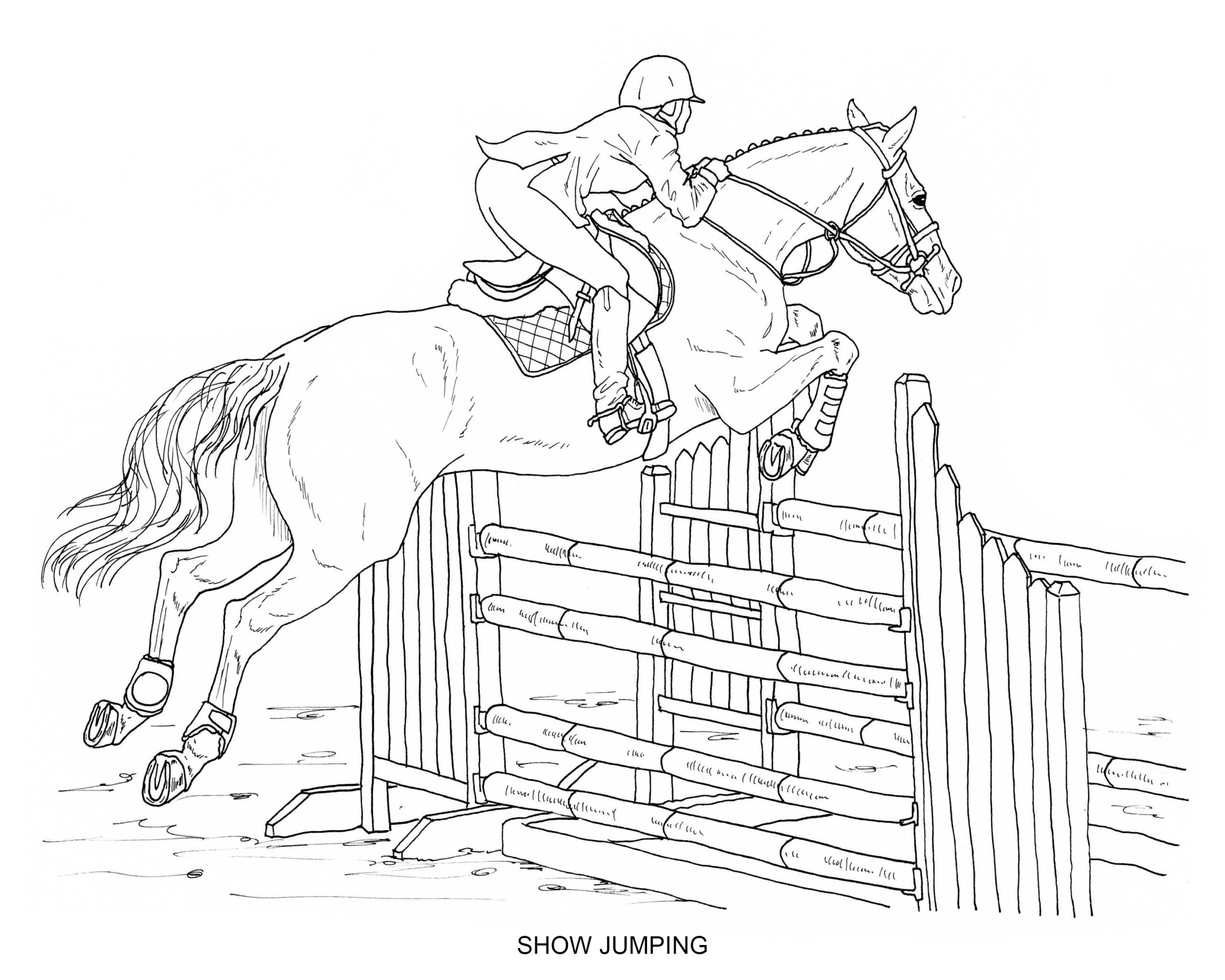 English Riding Coloring Pages Set Of 8 digital Download Etsy