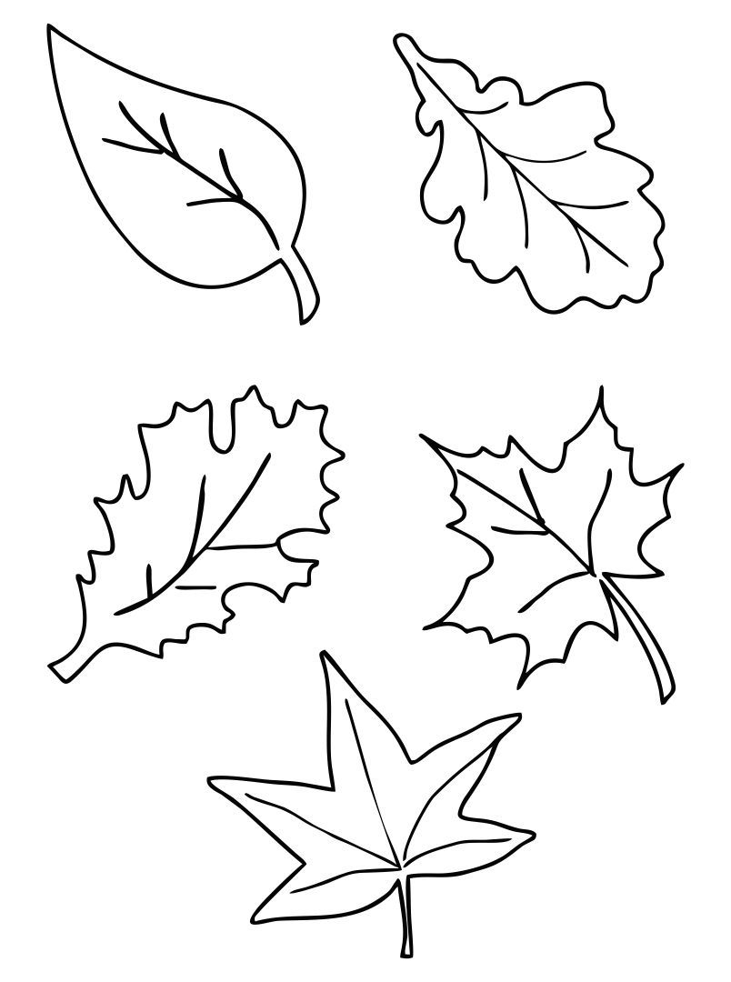 printable autumn leaf templates