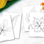 Free Printable Large Leaf Templates Stencils And Patterns Simple Mom Project