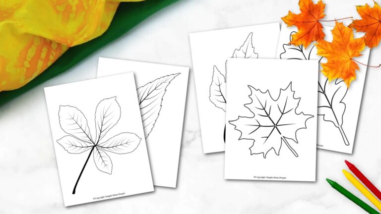 Free Printable Large Leaf Templates Stencils And Patterns Simple Mom Project