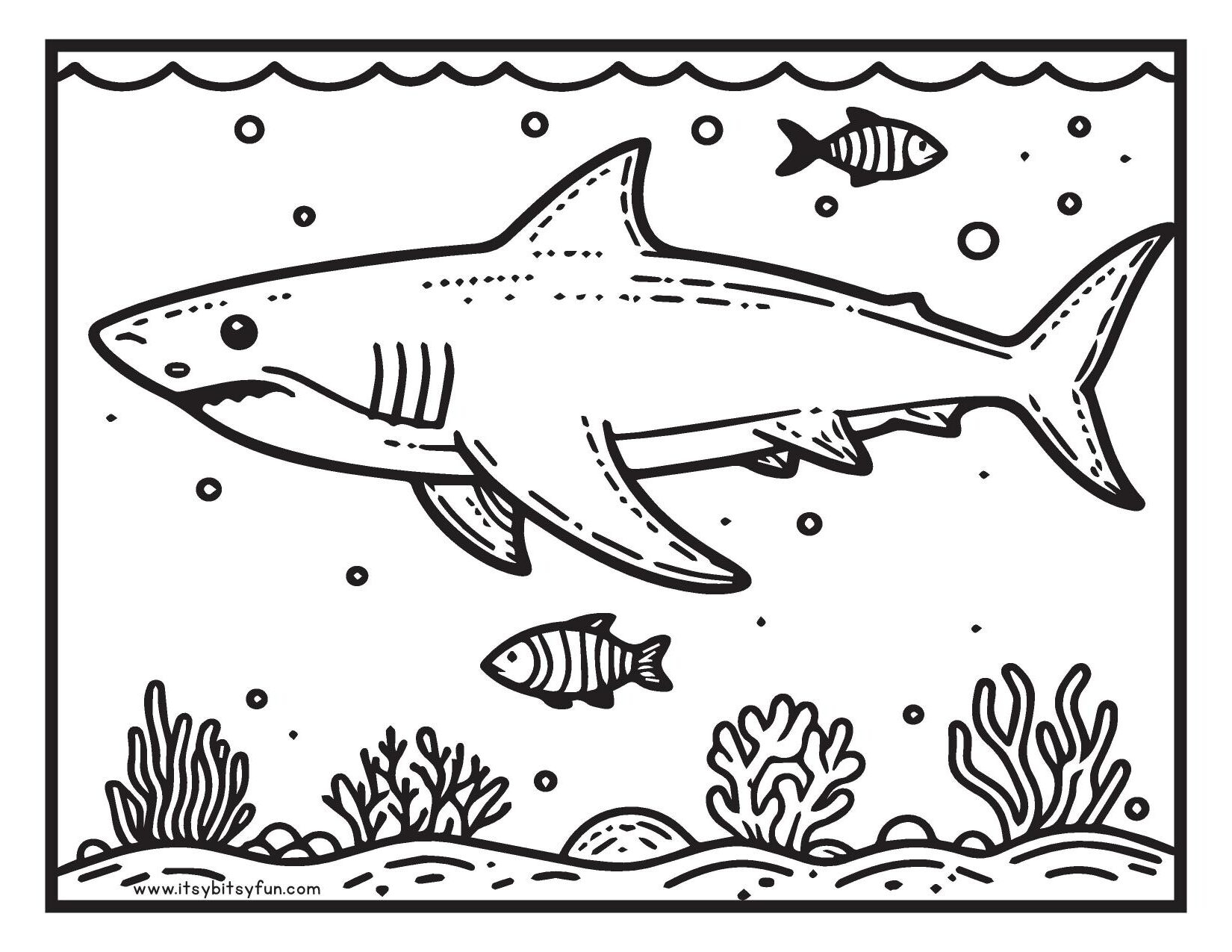 shark printable coloring pages