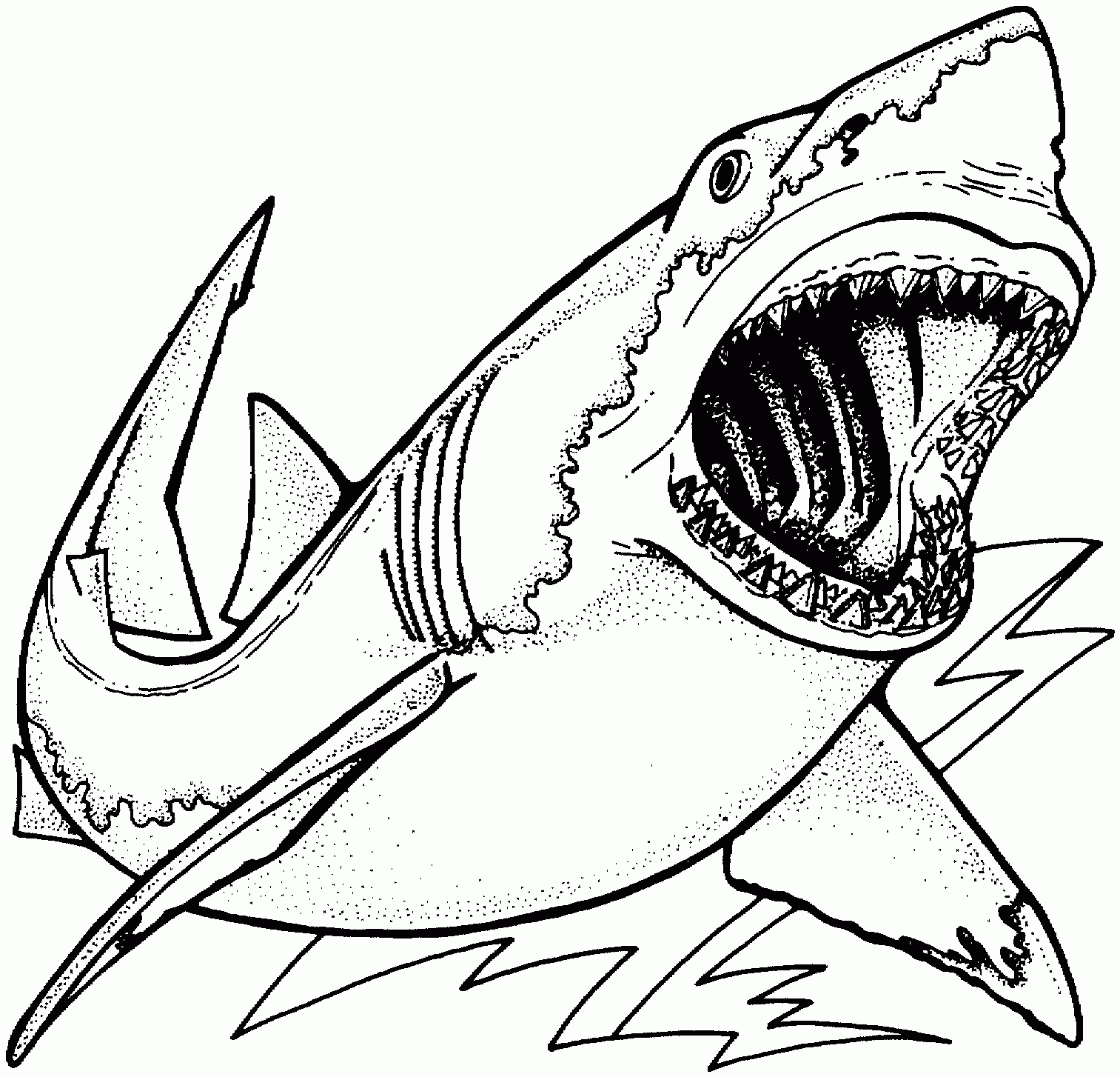 printable shark coloring pages