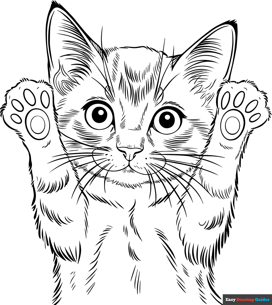 kitten coloring sheets printable