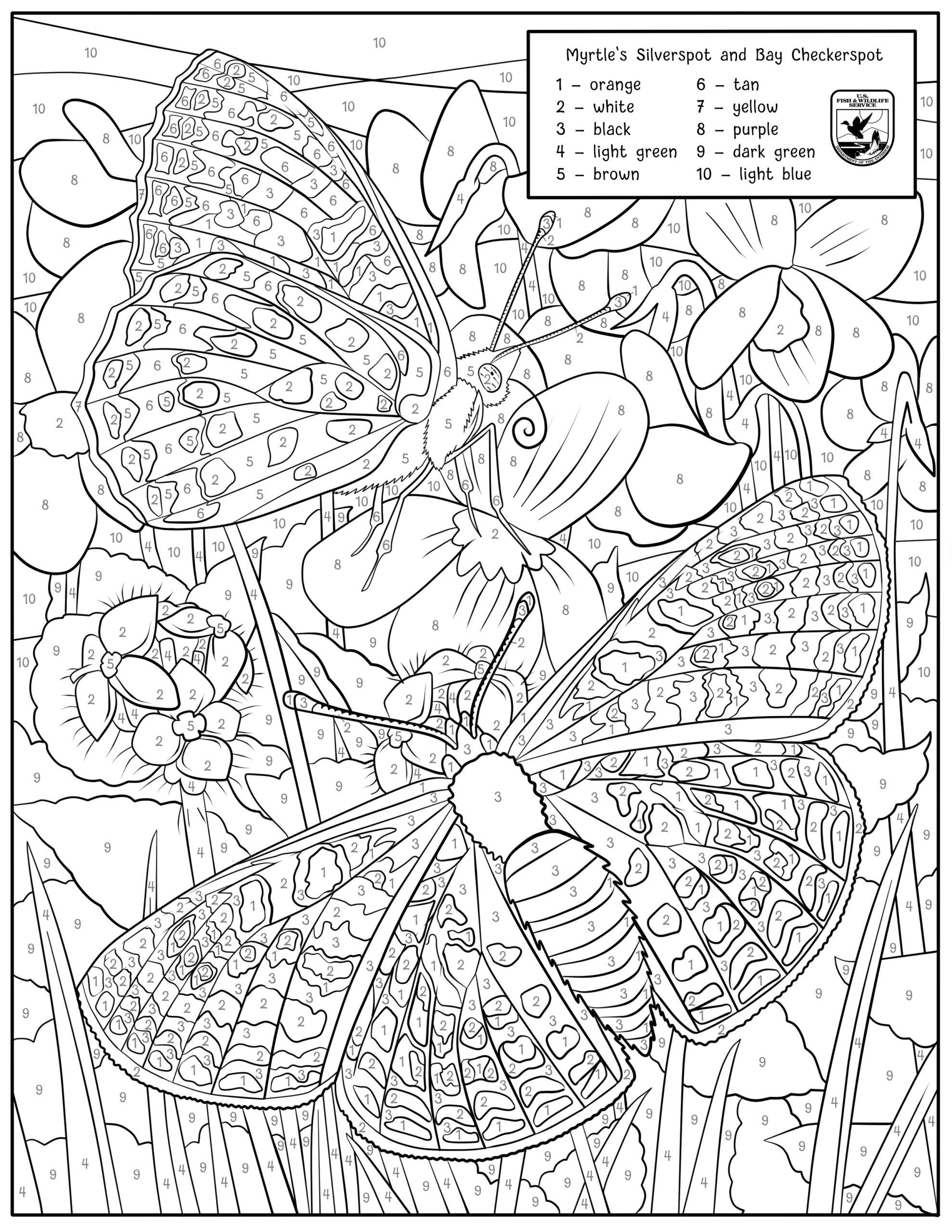 color by number printable for adults