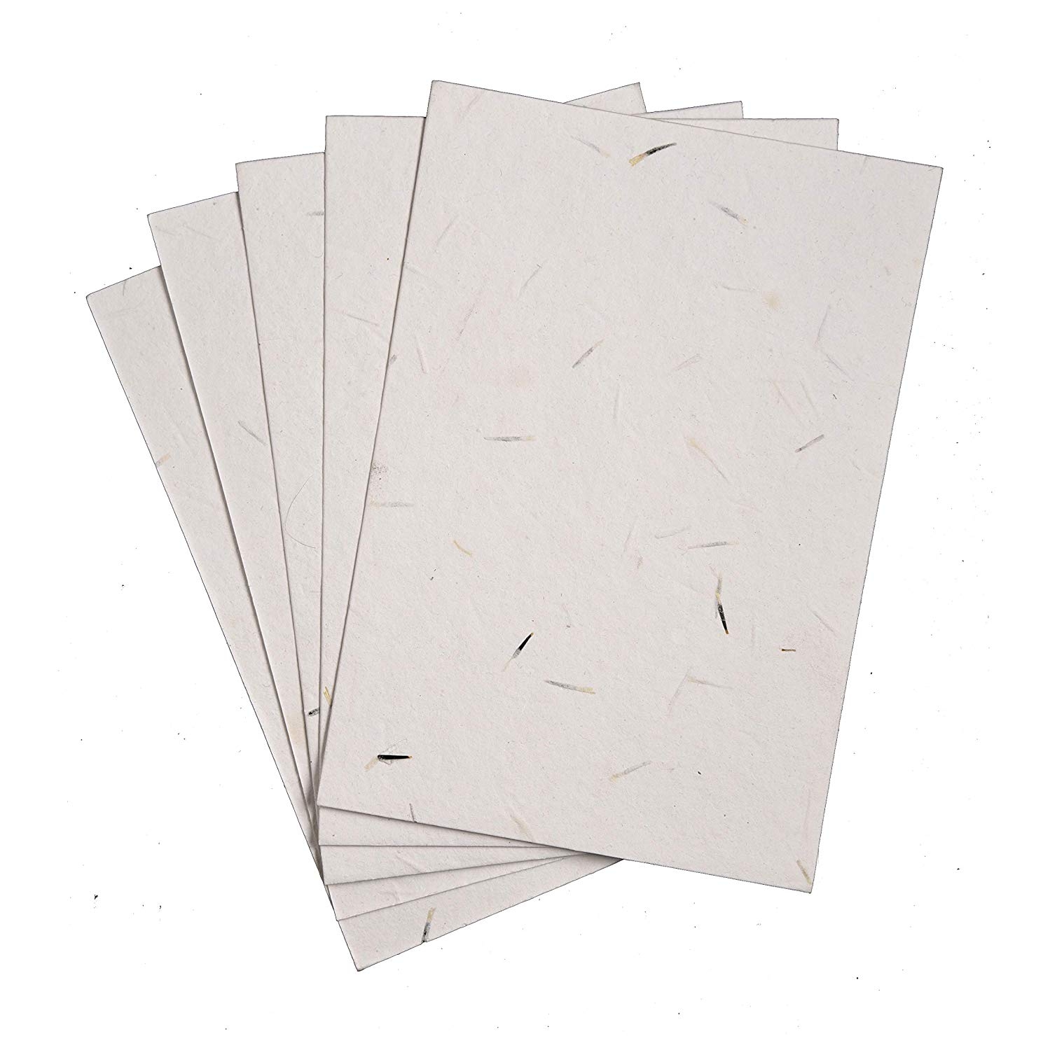 printable seed paper