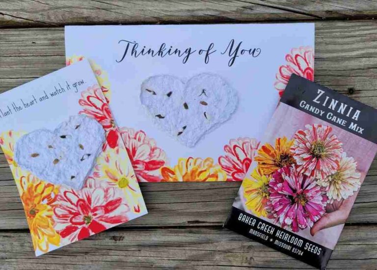 Printable Seed Paper Cards Wonder Filled Days