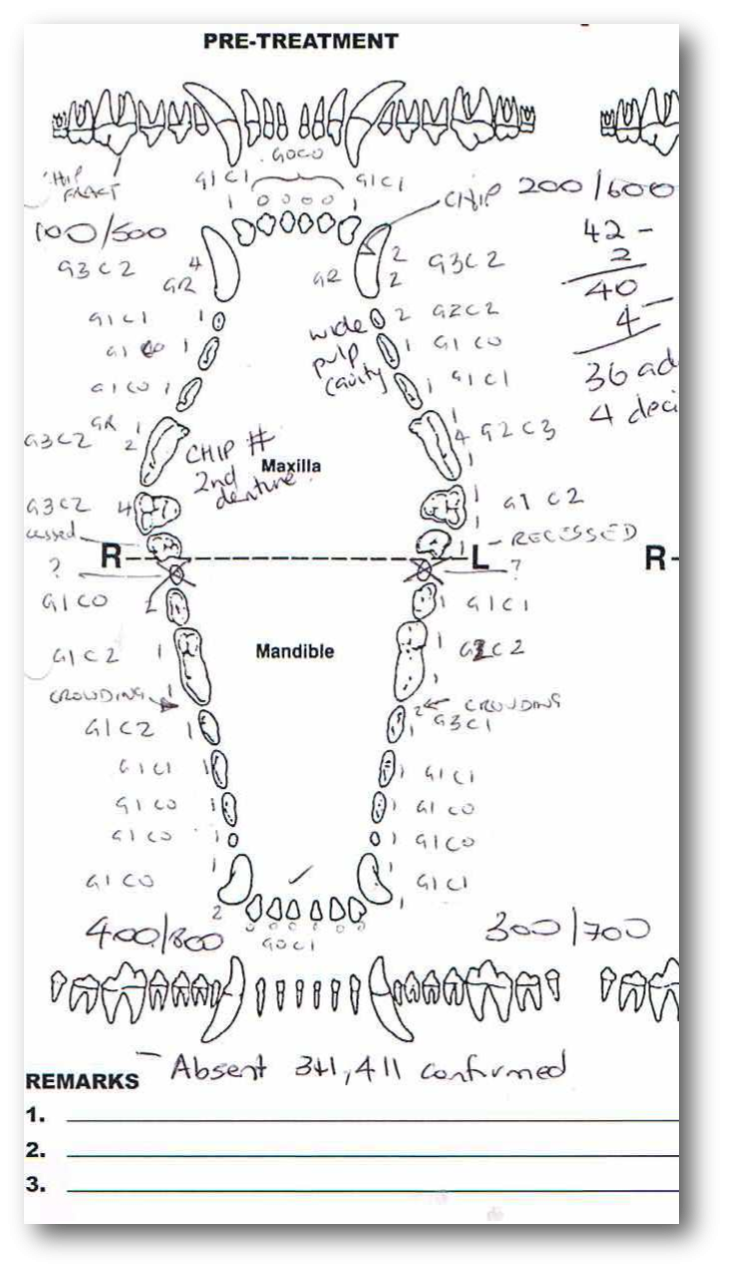 Veterinary Dental Charting For Dummies Vetanswers
