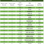 Arabic Numbers 1 To 20 For Beginners