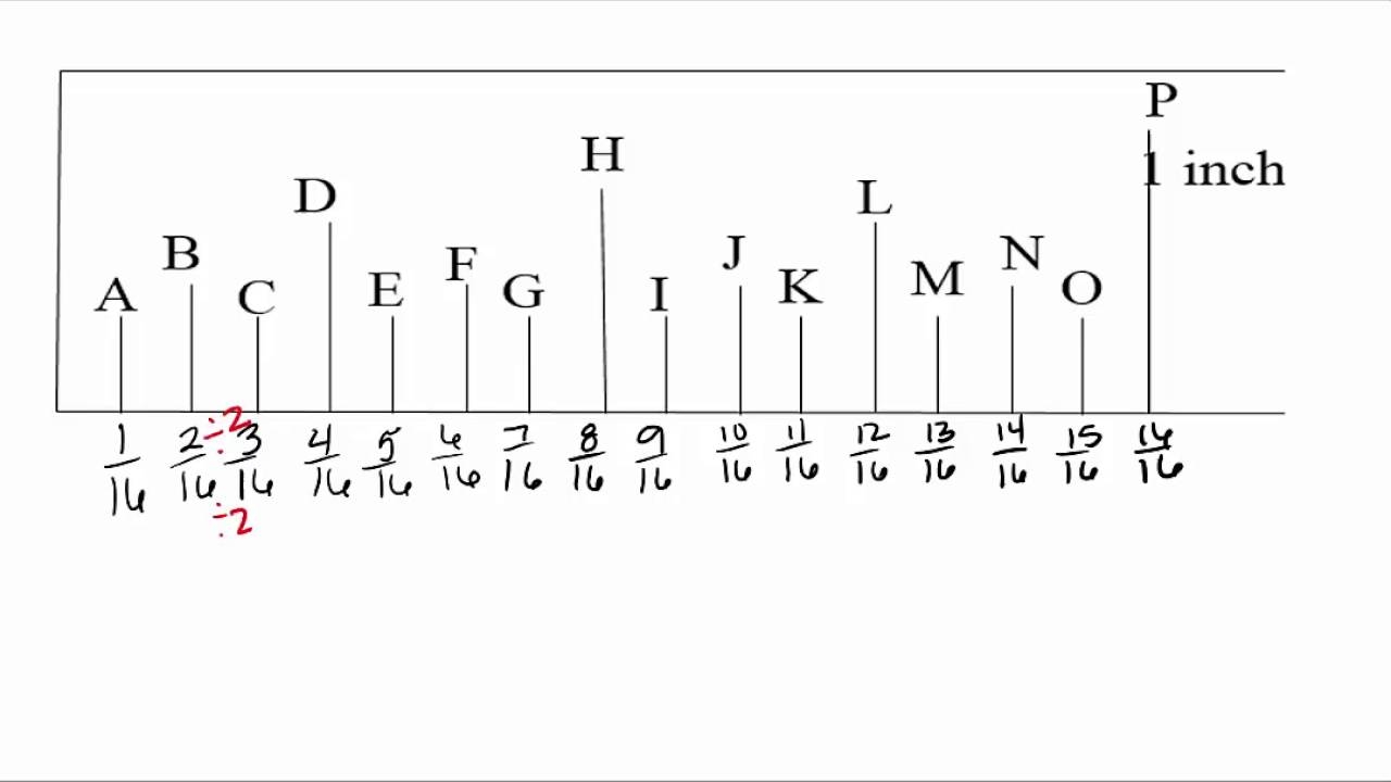 ruler with the fractions
