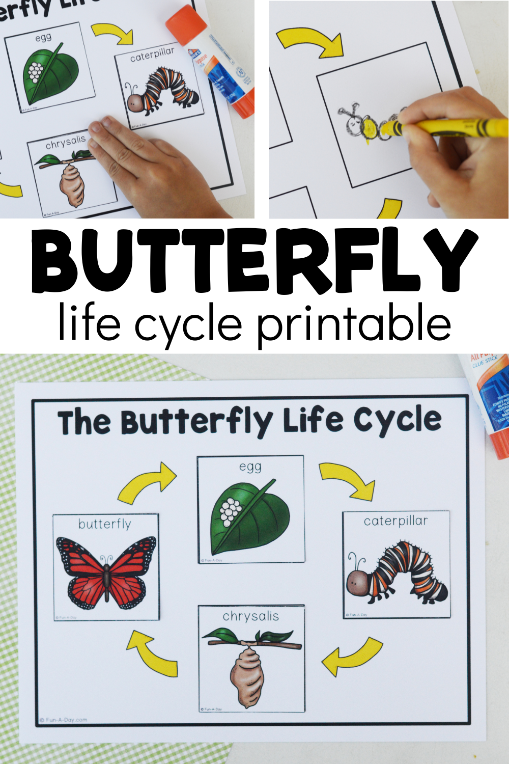 butterfly life cycle worksheet butterfly life cycle worksheet