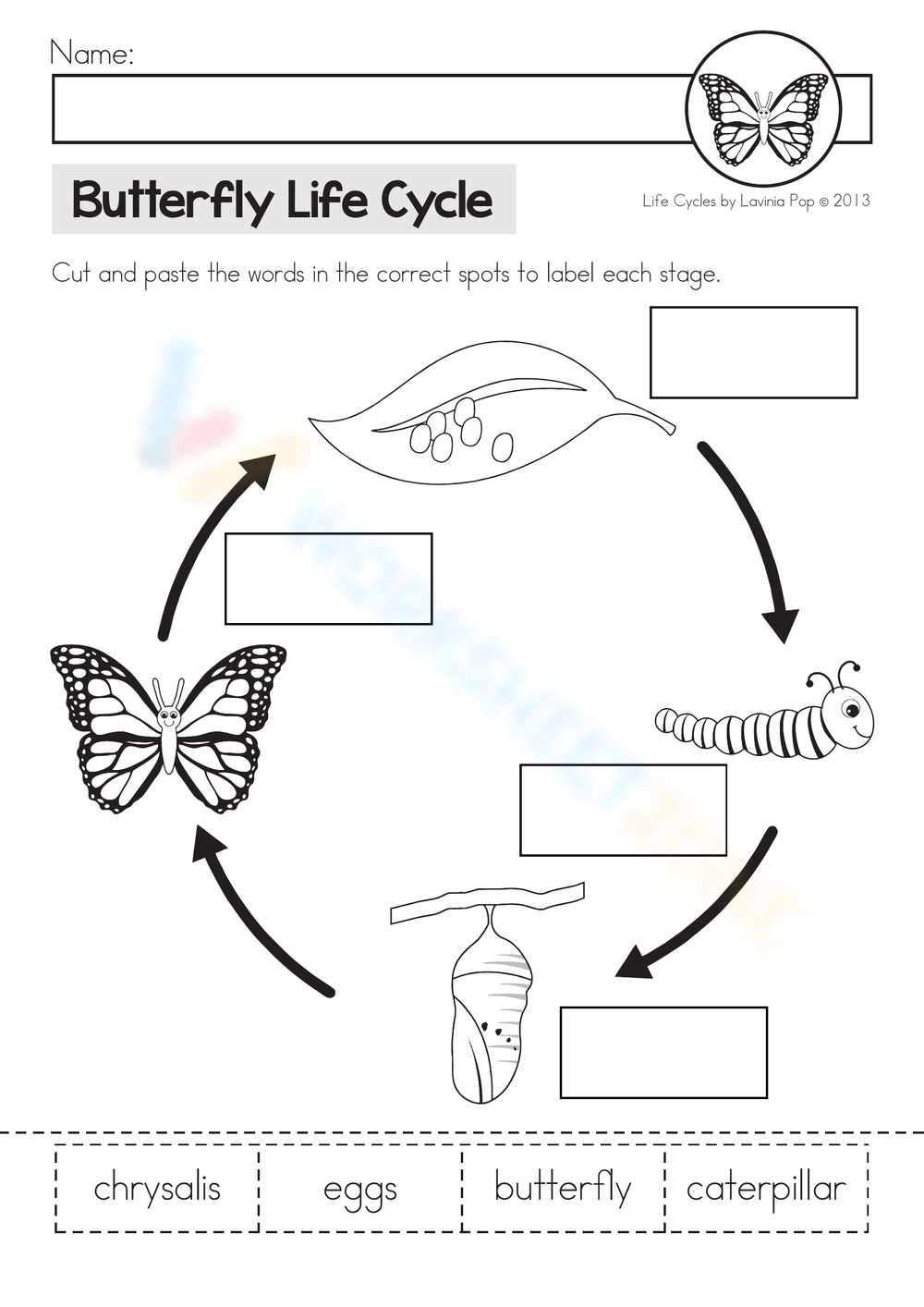 worksheet life cycle of butterfly